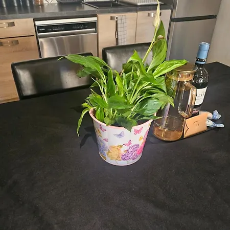 Prázdninový dům Maison Soleil -